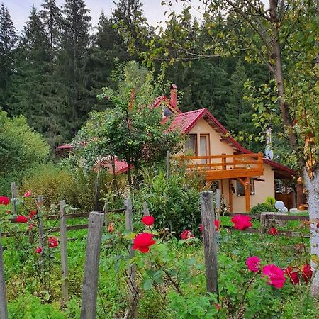 Forest Vibes Spa Kimpulunyág Kültér fotó