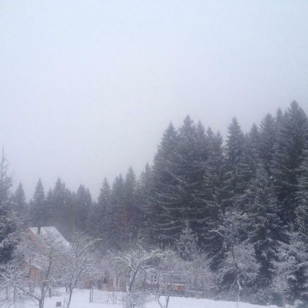 Forest Vibes Spa Kimpulunyág Kültér fotó