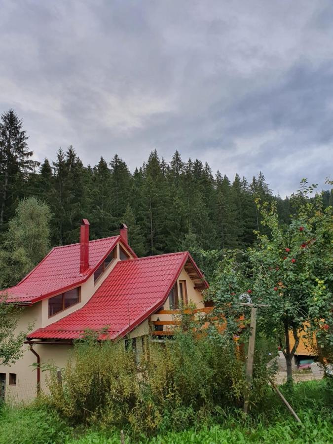 Forest Vibes Spa Kimpulunyág Kültér fotó