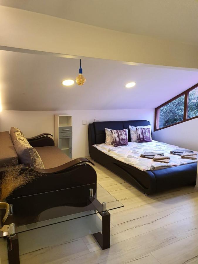 Forest Vibes Spa Kimpulunyág Kültér fotó