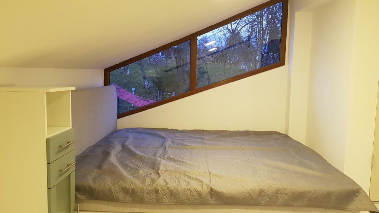 Forest Vibes Spa Kimpulunyág Kültér fotó