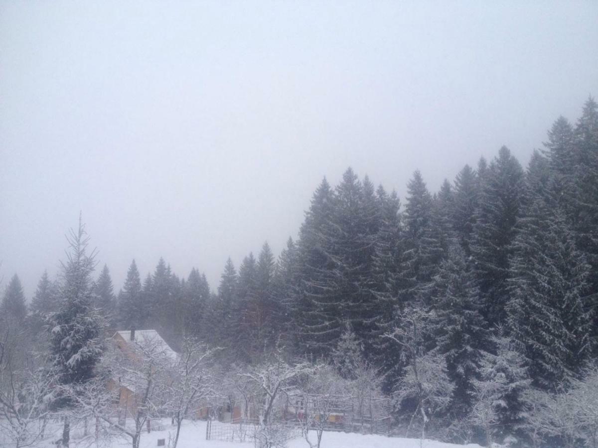 Forest Vibes Spa Kimpulunyág Kültér fotó