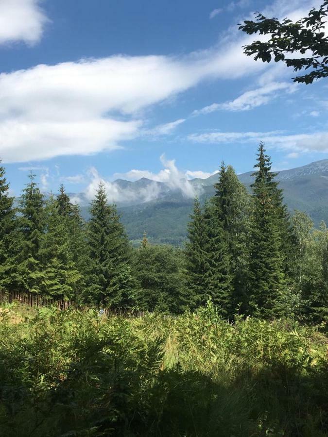 Forest Vibes Spa Kimpulunyág Kültér fotó