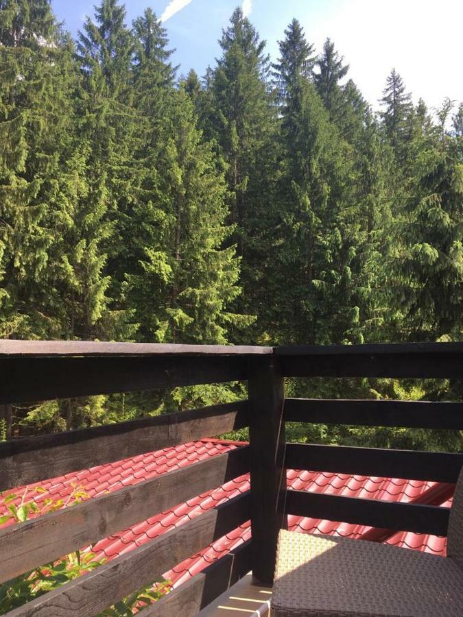 Forest Vibes Spa Kimpulunyág Kültér fotó