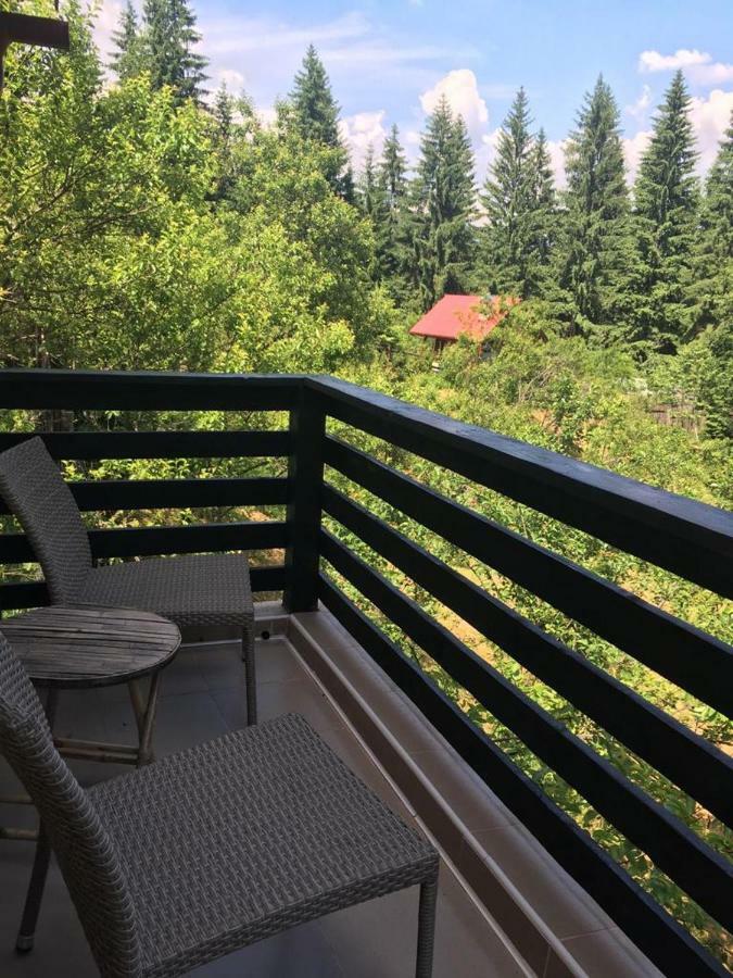 Forest Vibes Spa Kimpulunyág Kültér fotó