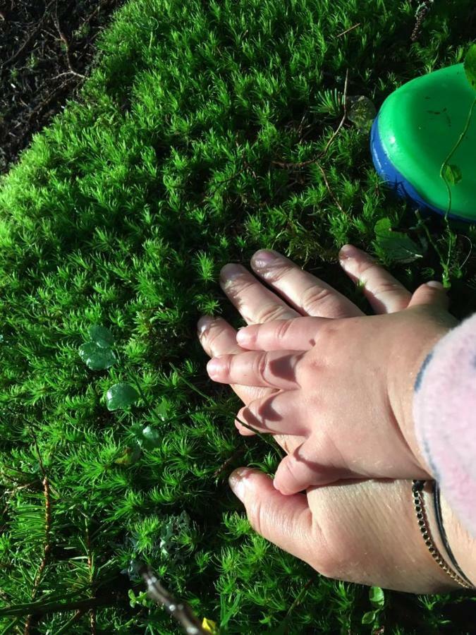 Forest Vibes Spa Kimpulunyág Kültér fotó