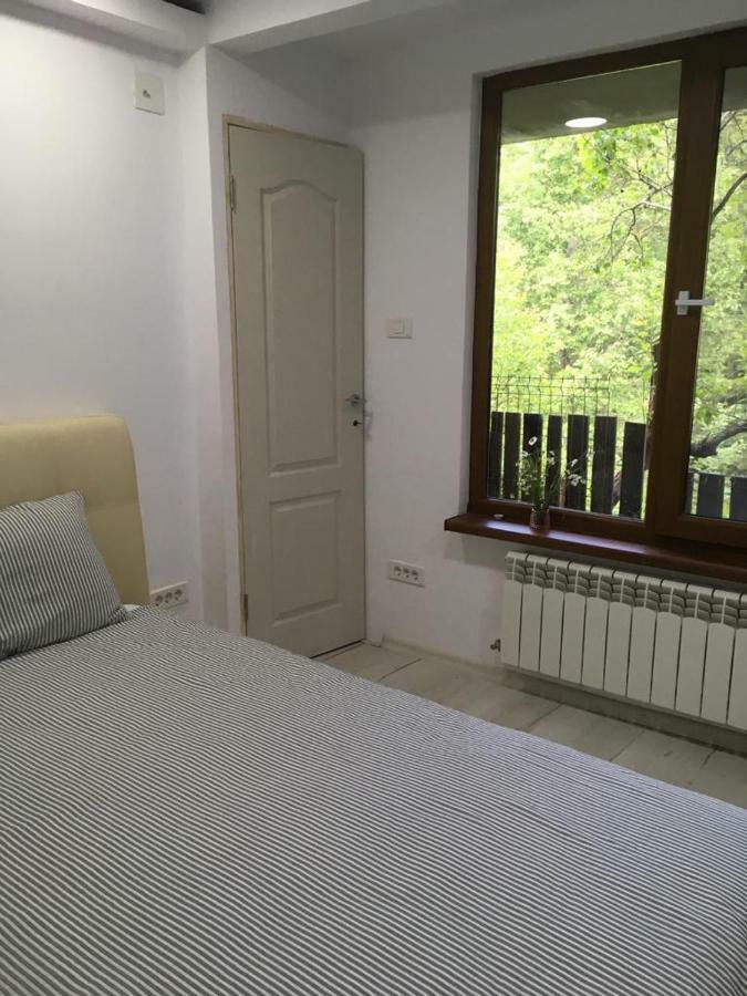Forest Vibes Spa Kimpulunyág Kültér fotó