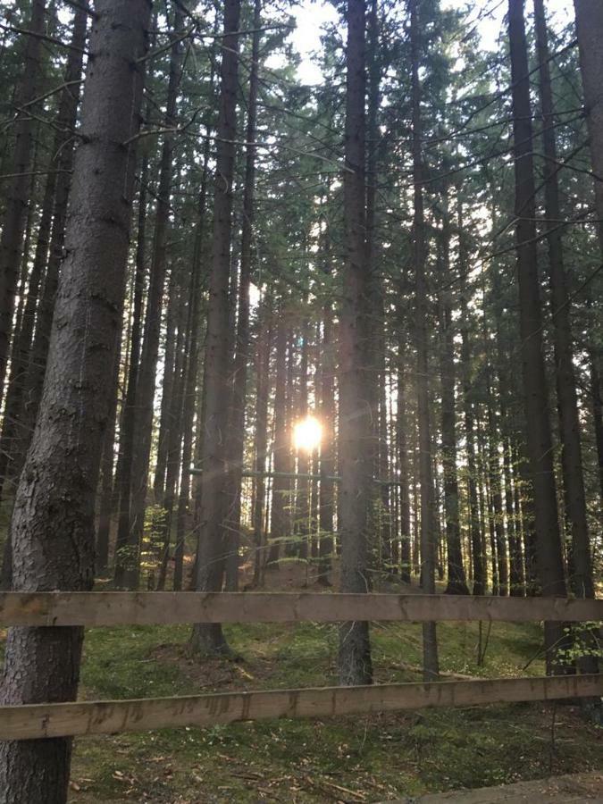 Forest Vibes Spa Kimpulunyág Kültér fotó