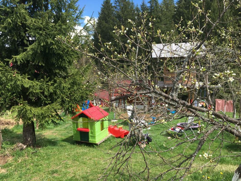 Forest Vibes Spa Kimpulunyág Kültér fotó